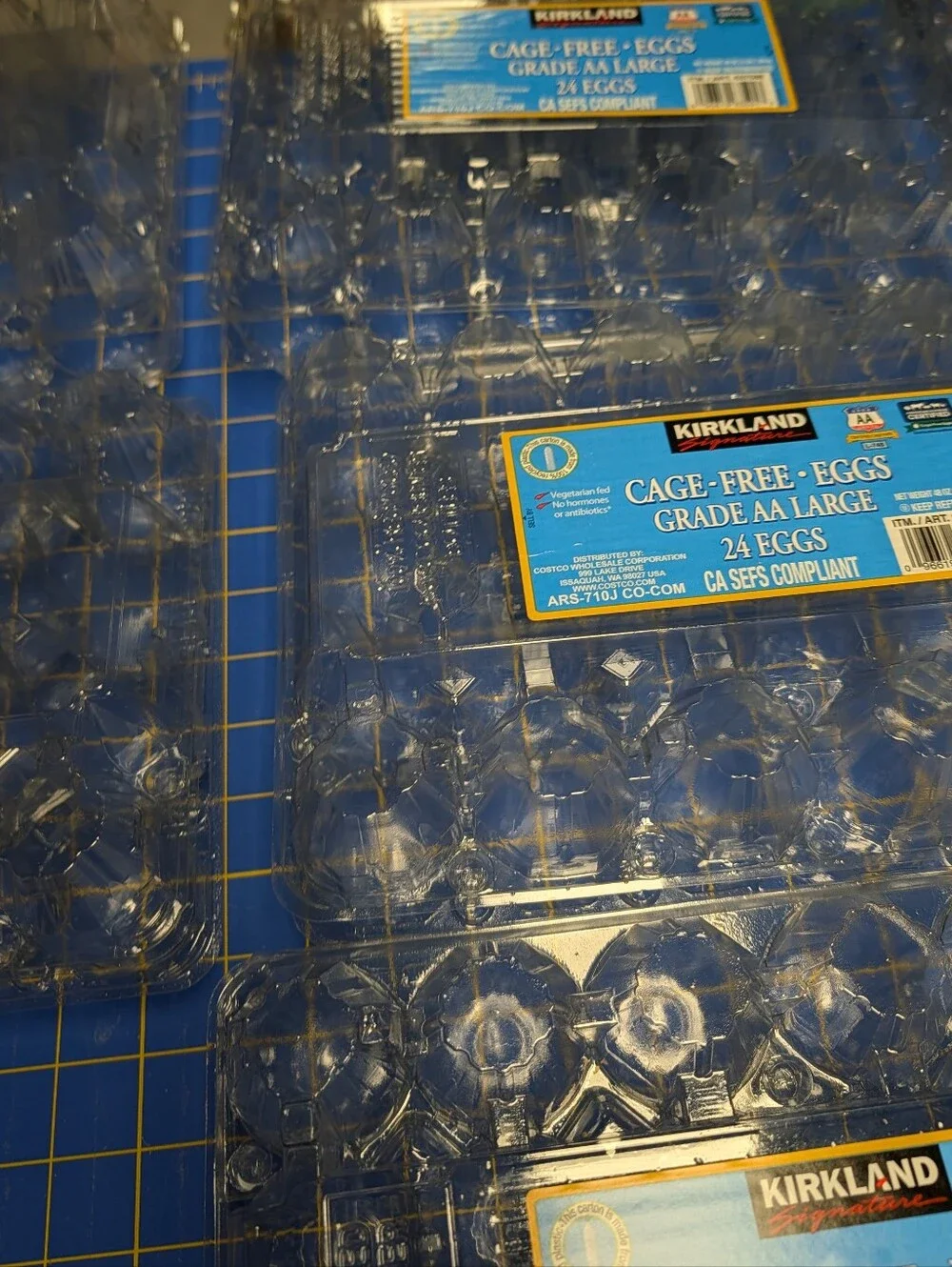 8 Clear Kirkland Plastic egg cartons, 2 dozen each (holds 24 Large) cartons